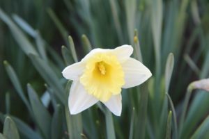 Rozwód z narcyzem - jak to przetrwać